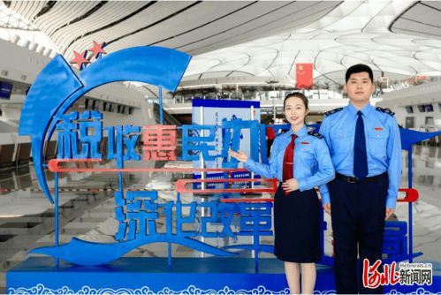 河北省稅務局實施人才 科技 雙輪驅(qū)動 推進稅收征管改革落地